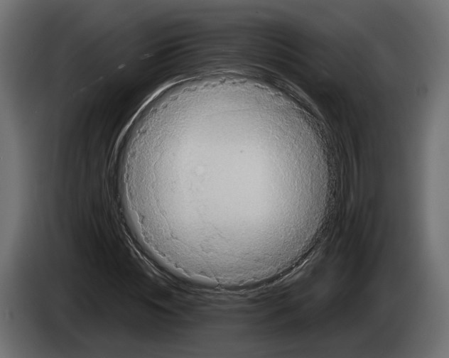 X0000083070828200703022154