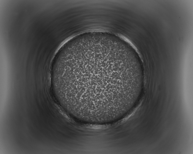 X0000083070829200703022154