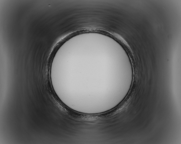 X0000083070831200703022154