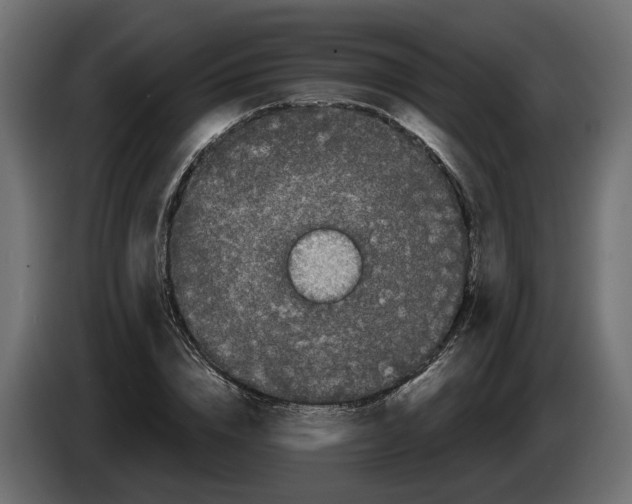 X0000083070832200703022154