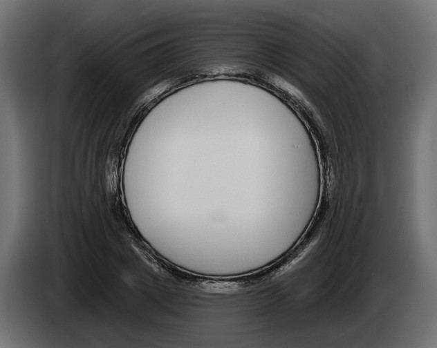 X0000083070833200703022154