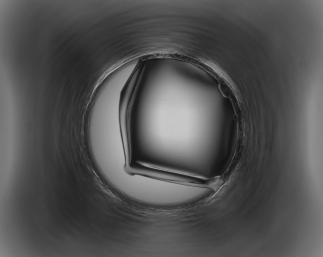 X0000083070834200703022154