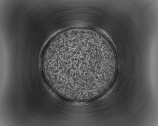 X0000083070835200703022154