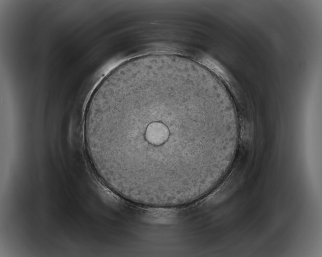 X0000083070836200703022154