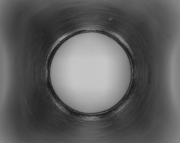 X0000083070837200703022155