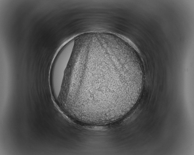 X0000083070839200703022155