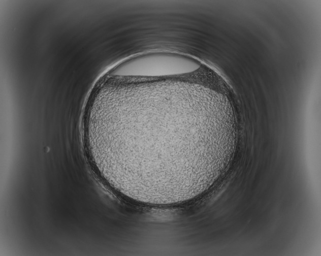 X0000083070840200703022155