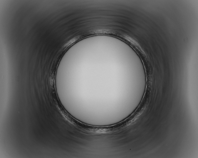 X0000083070841200703022155