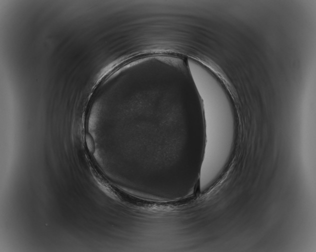 X0000083070842200703022155