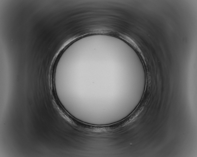 X0000083070843200703022155