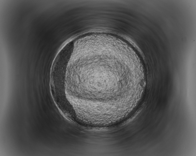 X0000083070845200703022155