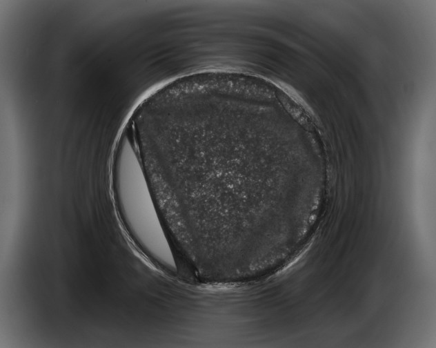 X0000083070846200703022155