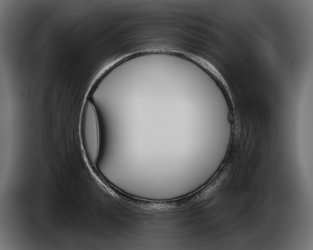 X0000083070847200703022155