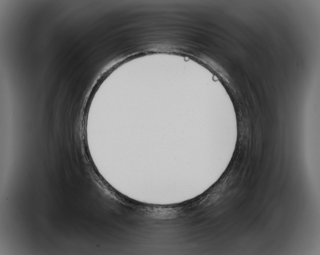 X0000083070848200703022155