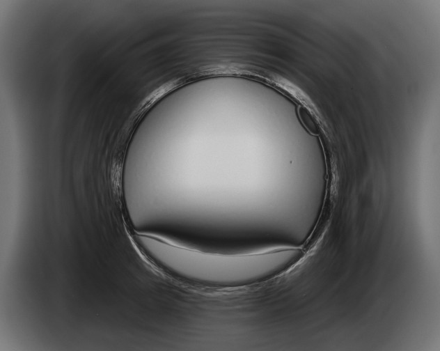 X0000083070849200703022155