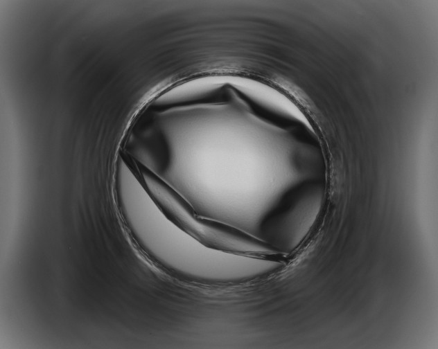 X0000083070850200703022155