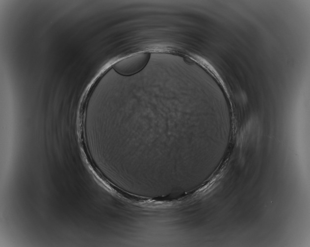 X0000083070851200703022155