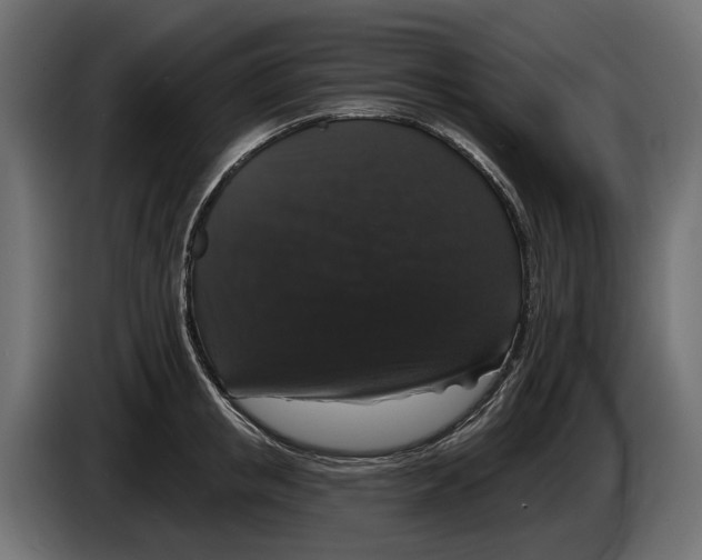 X0000083070853200703022155