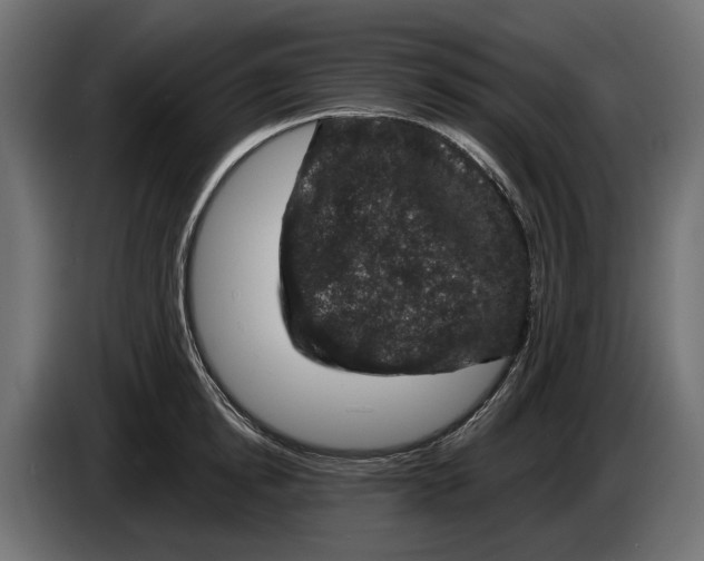 X0000083070854200703022155