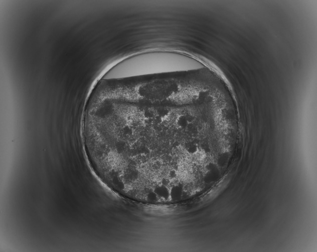 X0000083070855200703022155