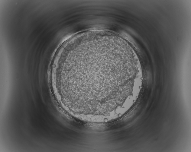 X0000083070856200703022155