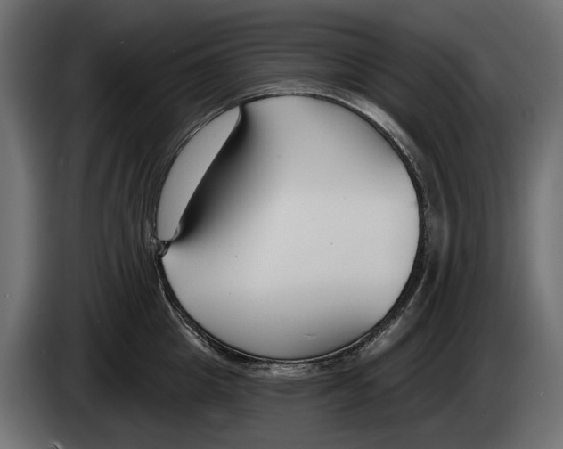 X0000083070857200703022155