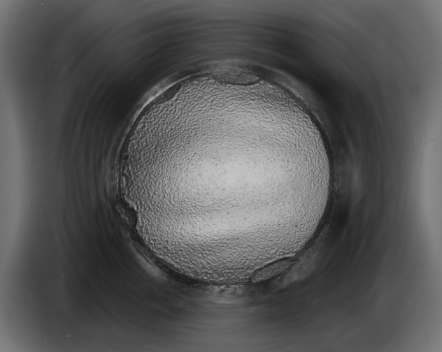 X0000083070858200703022155