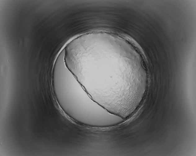 X0000083070860200703022155