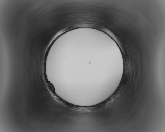 X0000083070861200703022155