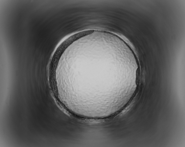 X0000083070862200703022155