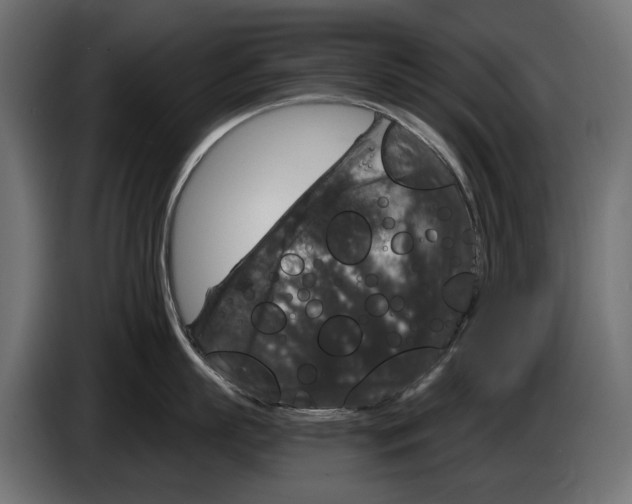 X0000083070863200703022155