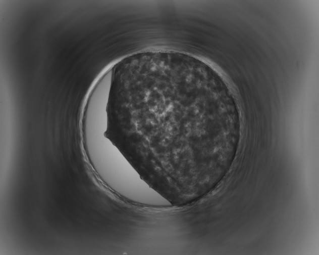 X0000083070864200703022155