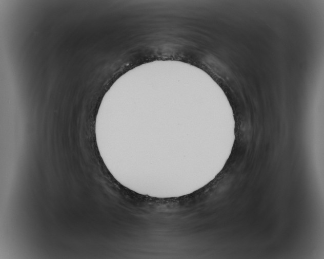 X0000083070865200703022154