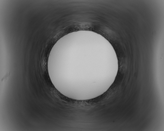 X0000083070866200703022154