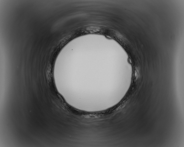 X0000083070867200703022154