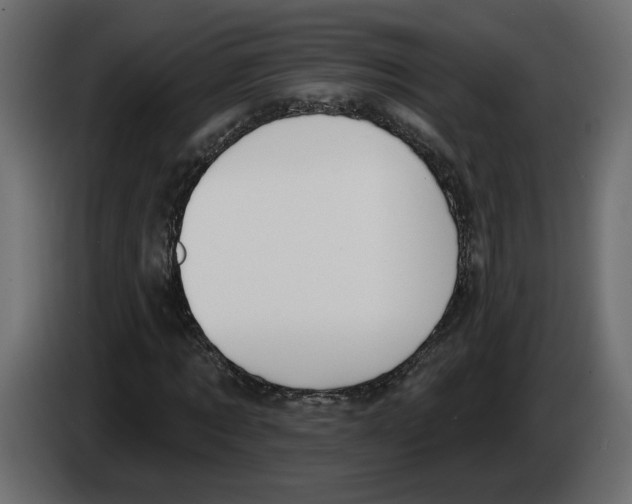 X0000083070869200703022154