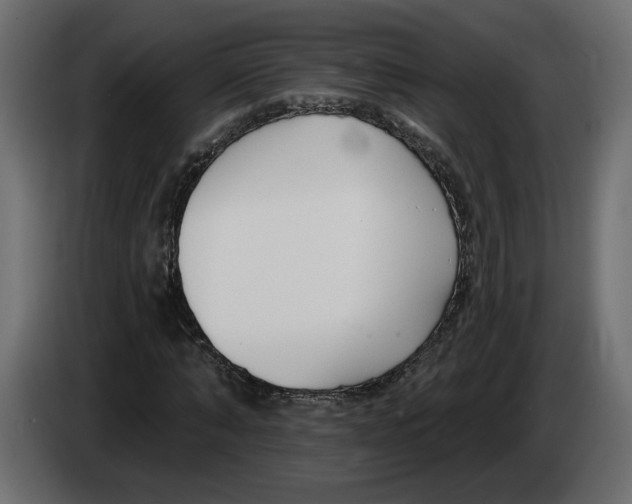 X0000083070870200703022154