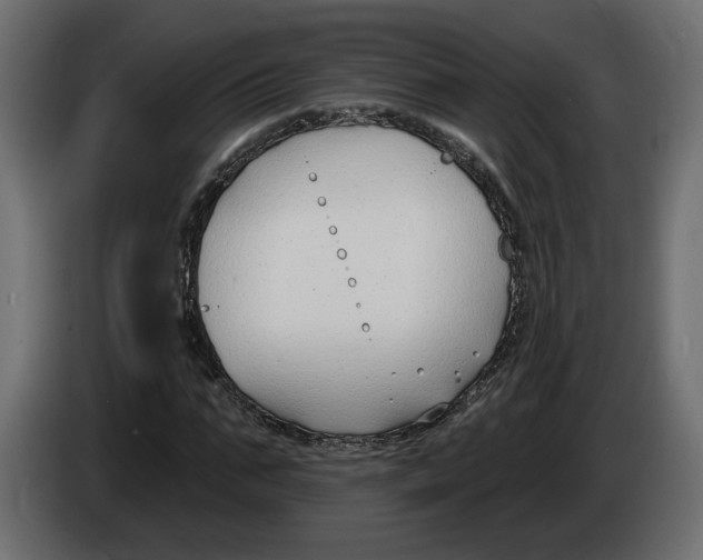 X0000083070871200703022154