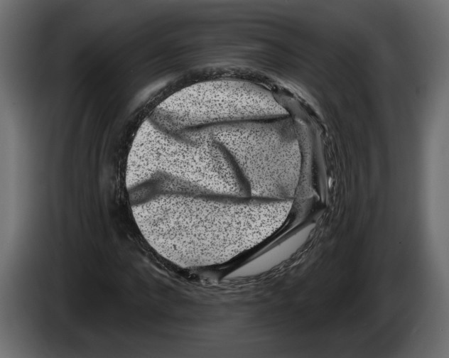 X0000083070872200703022154