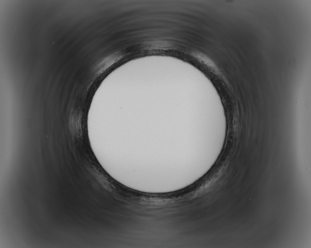 X0000083070873200703022154