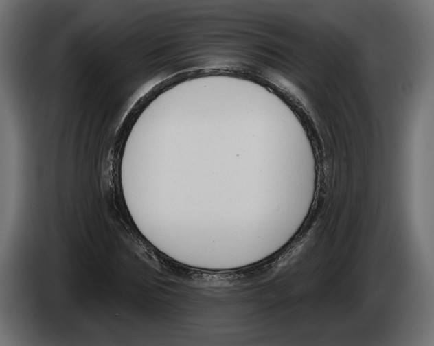 X0000083070875200703022154