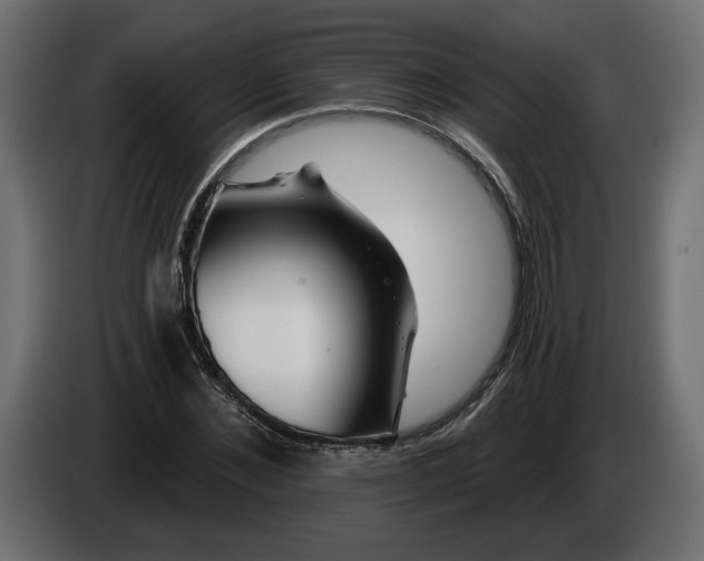 X0000083070876200703022154