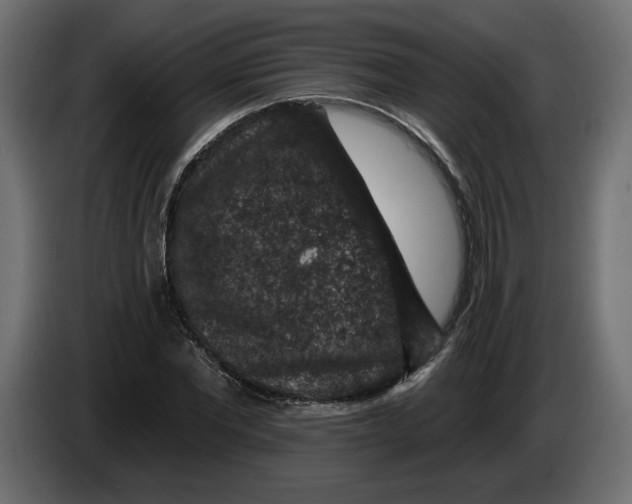 X0000083070877200703022154