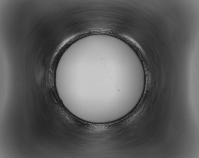 X0000083070878200703022154