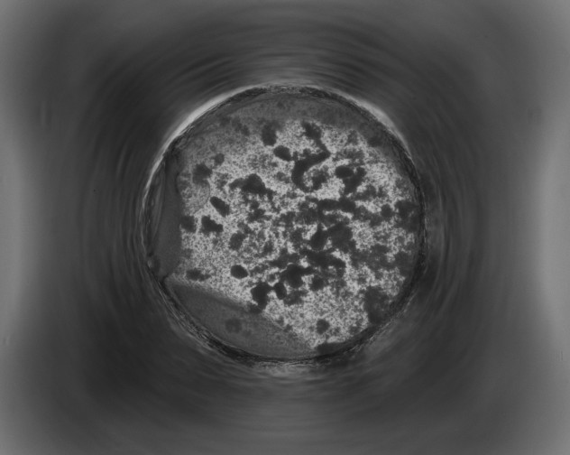 X0000083070879200703022154