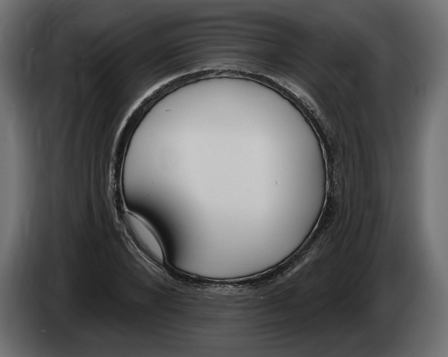 X0000083070880200703022154