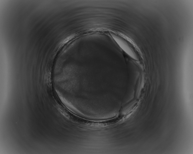 X0000083070881200703022154