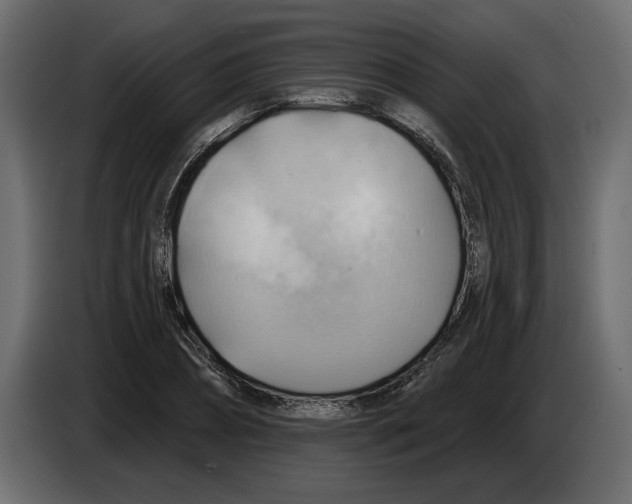 X0000083070882200703022154