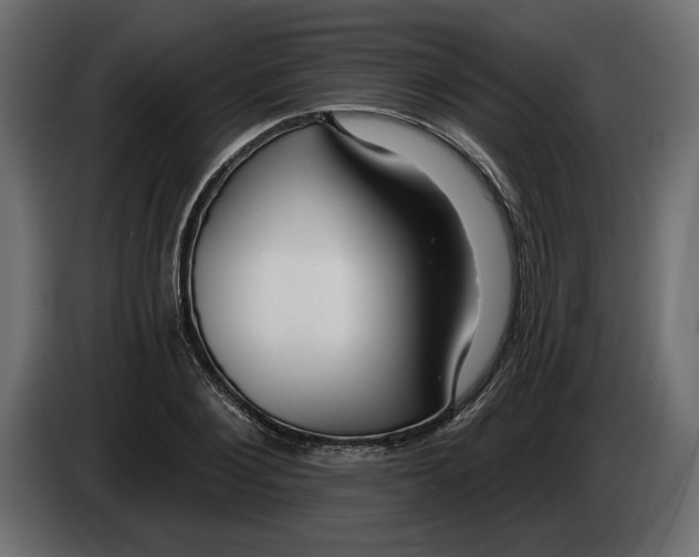 X0000083070884200703022154