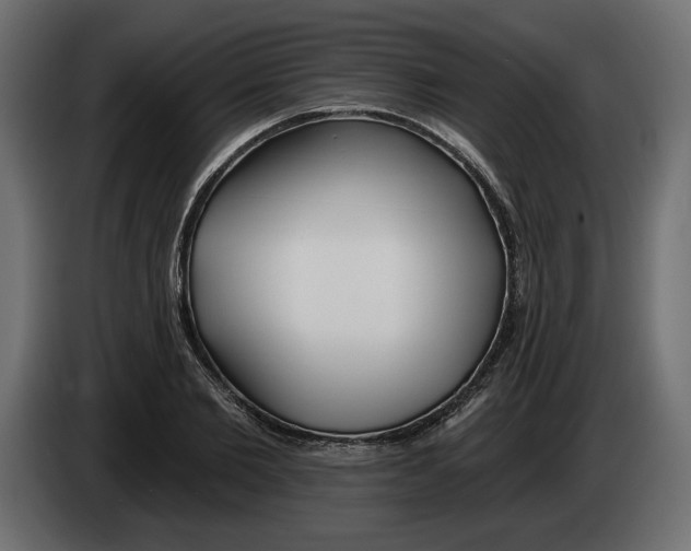 X0000083070885200703022154